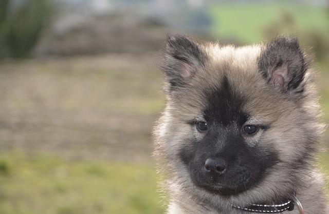 Jak⁢ ovlivní ⁣nové změny důchodového systému vaši‍ penzi