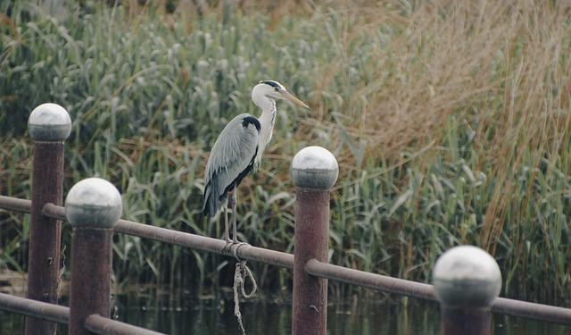 Nejlepší madlo k posteli pro seniory: Důležitost bezpečného vstupu a výstupu z postele